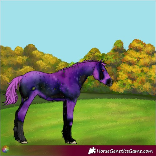 Horse Color:ERROR: UNKNOWN ANOMALY