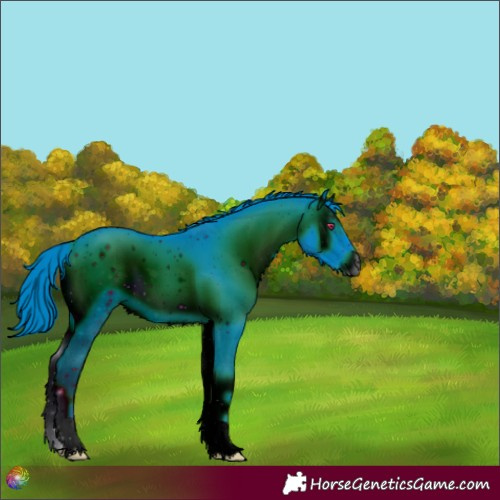 Horse Color:ERROR: UNKNOWN ANOMALY