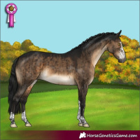 Horse Color:Gray Brown Dun Sabino Tobiano Brindle 