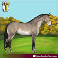 Horse Color:Gray Brown Roan Dun Sabino 