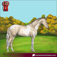 Horse Color:White Spotted Silver Buckskin Pearl Dun Tobiano 