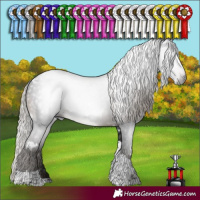 Horse Color:Gray White Spotted Silver Brown Tobiano Rabicano 