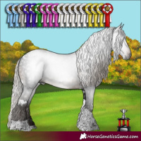 Horse Color:Gray White Spotted Silver Brown Tobiano Rabicano 