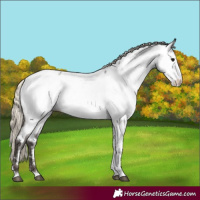 Horse Color:Silver Smoky Blue Roan Fewspot 
