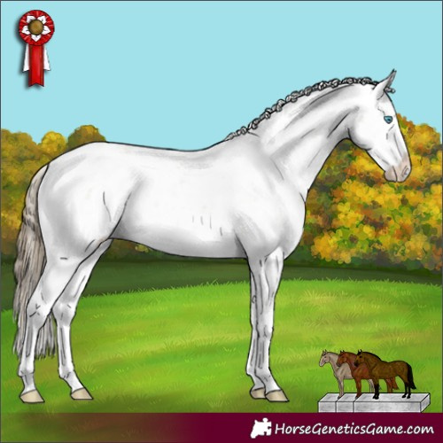 Horse Color:Buckskin Pearl Sabino Rabicano