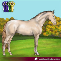 Horse Color:Buckskin Pearl 