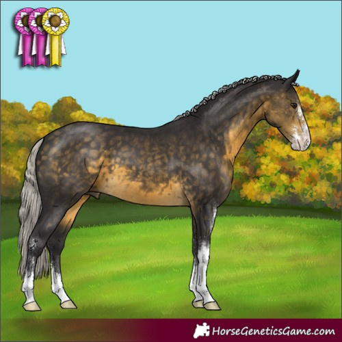 Horse Color:Silver Buckskin Sabino 