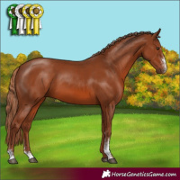 Horse Color:Chestnut Sabino