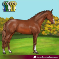Horse Color:Chestnut Sabino 