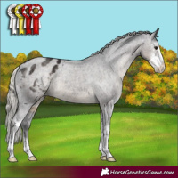 Horse Color:Silver Smoky Black Sabino Varnish