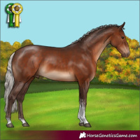 Horse Color:Silver Brown Sabino 