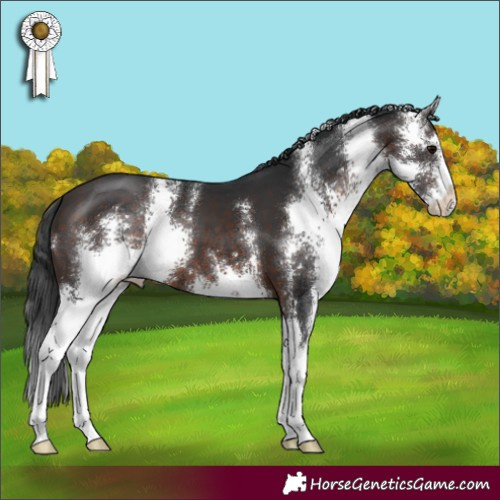 Horse Color:Brown Sabino
