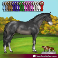 Horse Color:Black Sabino