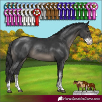 Horse Color:Black Sabino