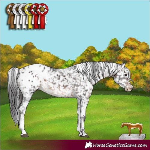 Horse Color:White Spotted Brown Tobiano Appaloosa Rabicano 