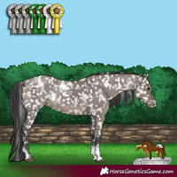 Horse Color:White Spotted Grullo Tobiano Snowflake Varnish Rabicano 