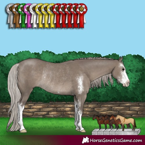 Horse Color:Silver Grullo Sabino Rabicano 