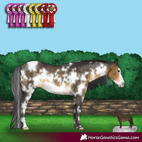 Horse Color:White Spotted Buckskin Frame Rabicano 