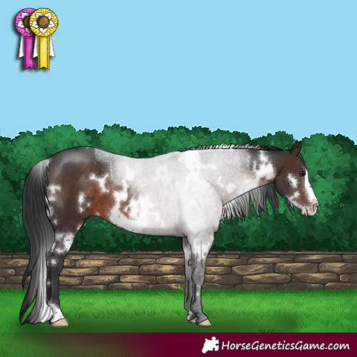 Horse Color:White Spotted Brown Frame 