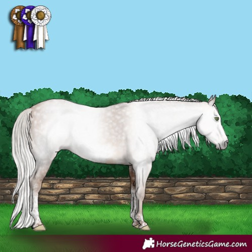 Horse Color:Gray Silver Sable Champagne Sabino Tobiano Frame Rabicano 