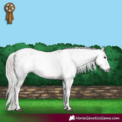 Horse Color:Gray White Spotted Silver Black Tobiano Frame Varnish Rabicano