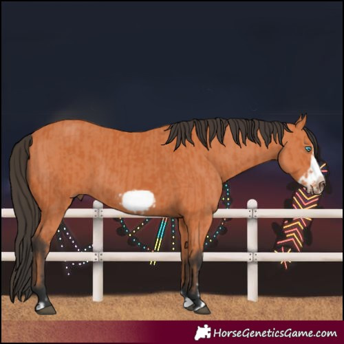 Horse Color:Bay Splash Frame  and Bay Splash Frame 