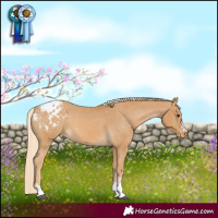 Horse Color:Palomino Varnish 