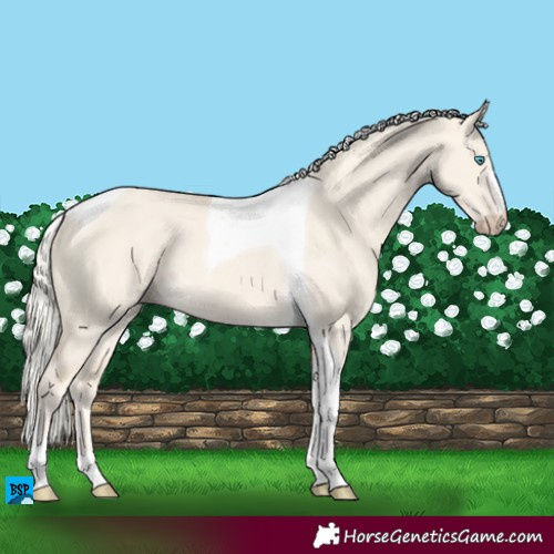 Horse Color:Cremello Dun Tobiano 