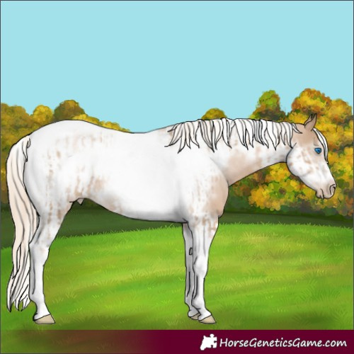 Horse Color:Chocolate Palomino Pearl Tobiano Frame  and Chocolate Palomino Pearl Tobiano Frame 