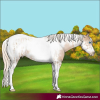 Horse Color:Chocolate Palomino Pearl Tobiano Frame and Chocolate Palomino Pearl Tobiano Frame