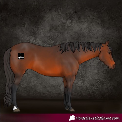 Horse Color:Brown 
