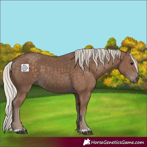 Horse Color:Silver Black 