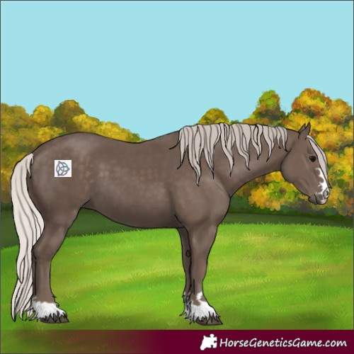Horse Color:Silver Black 