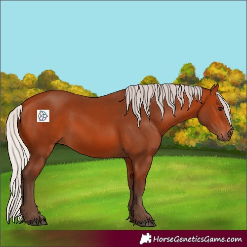 Horse Color:Silver Bay 