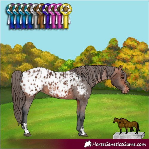 Horse Color:Bay Blanket and Bay Blanket