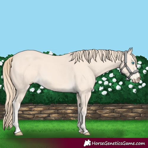 Horse Color:Perlino 