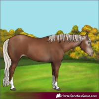 Horse Color:Gray Silver Black Pearl Tobiano 