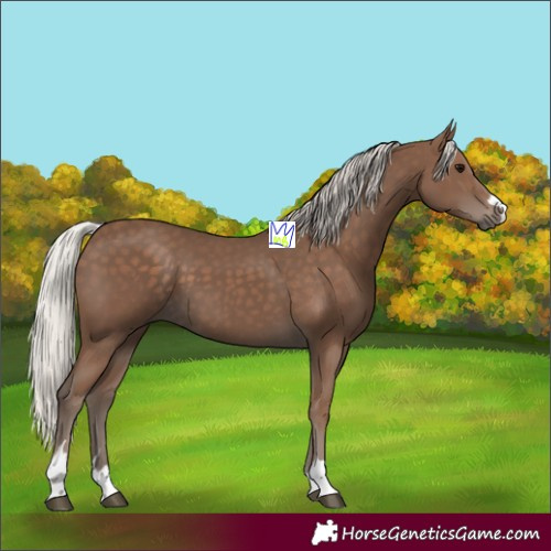 Horse Color:Silver Black 