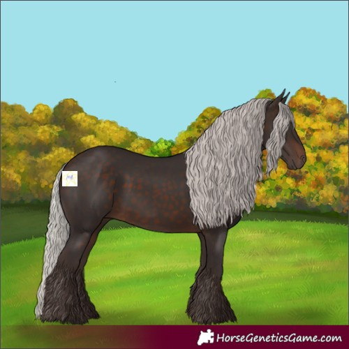 Horse Color:Silver Brown 