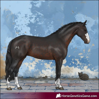 Horse Color:Brown 