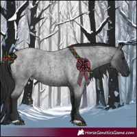 Horse Color:Blue Roan 