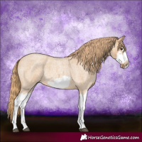 Horse Color:Red Dun Roan Splash Frame Rabicano 