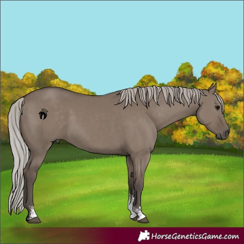 Horse Color:Silver Grullo Sabino 