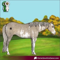Horse Color:Silver Smoky Grullo Sabino 