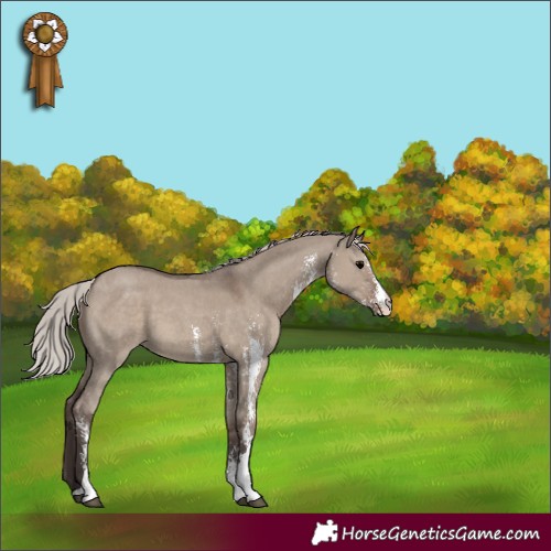 Horse Color:Silver Grullo Sabino 