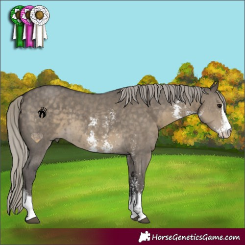 Horse Color:Silver Smoky Grullo Sabino 