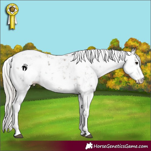 Horse Color:Silver Grullo Sabino 
