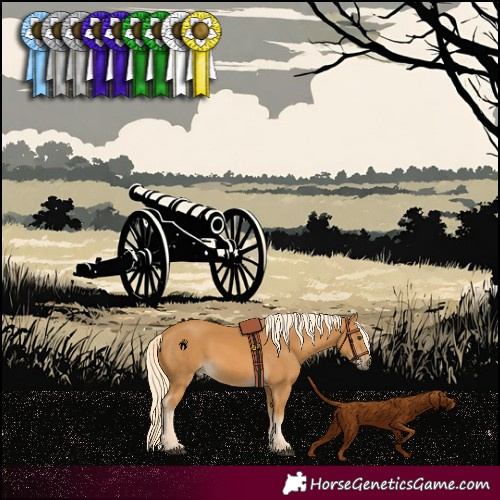 Horse Color:Palomino 