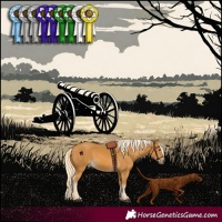 Horse Color:Palomino