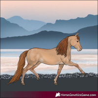 Horse Color:Red Dun